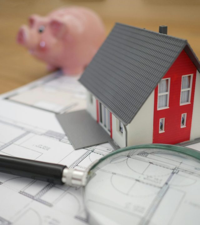 tierra mallorca nptbvokkom8 unsplash